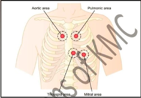 KMC PHYSIOLOGY OSPE 2