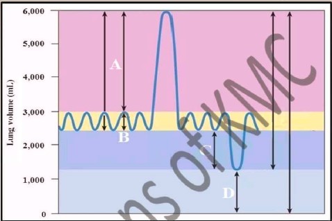 KMC PHYSIOLOGY OSPE 2