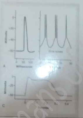 KMC OSPE