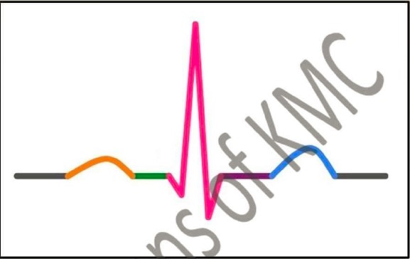 KMC PHYSIOLOGY OSPE 