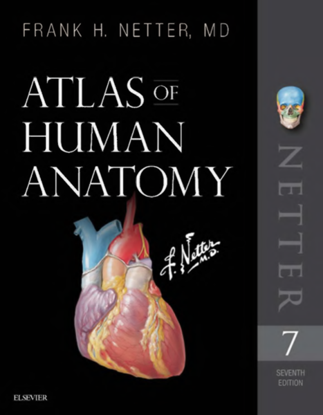 NETTER ATLAS ANATOMY BOOK