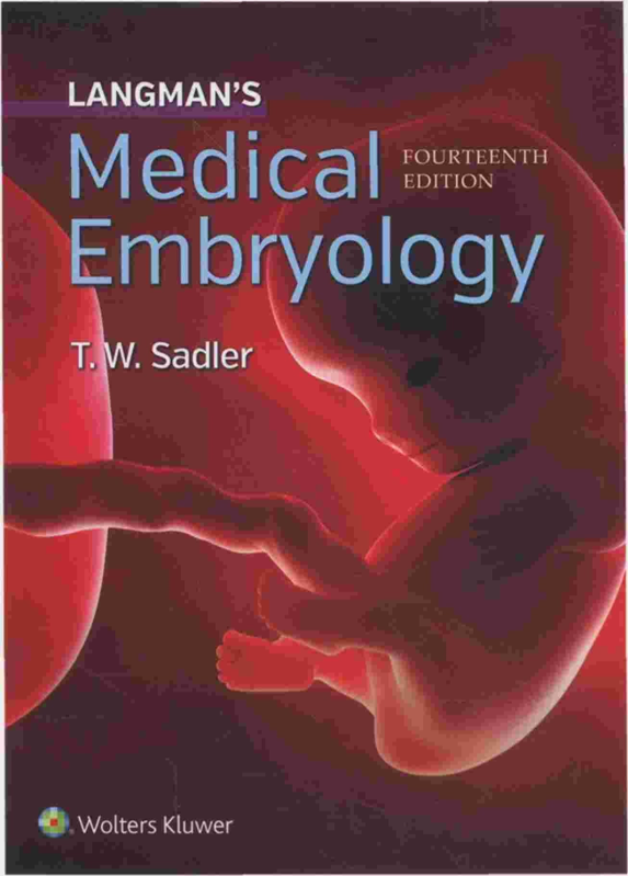 LANGMAN'S EMBRIOLOGY PDF